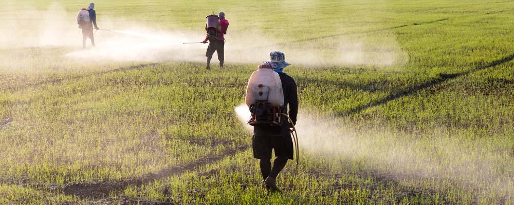 Illinois Attorneys for Injuries Related to Exposure to Paraquat and Other Toxic Substances